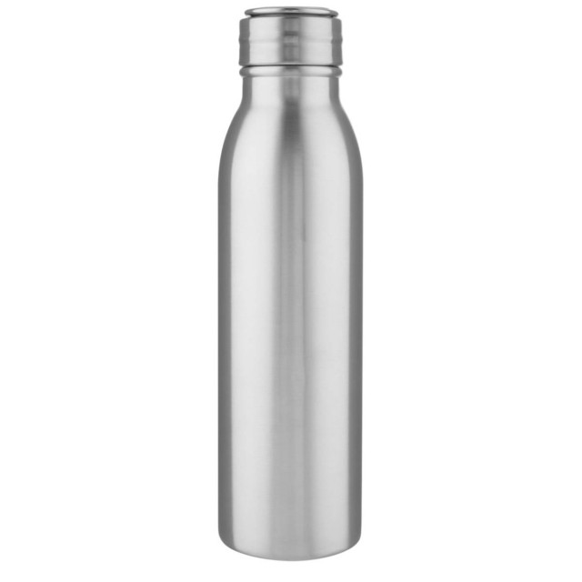 Harper 700 ml Sportflasche aus Edelstahl mit Metallschlaufe - silber - Vorderseite